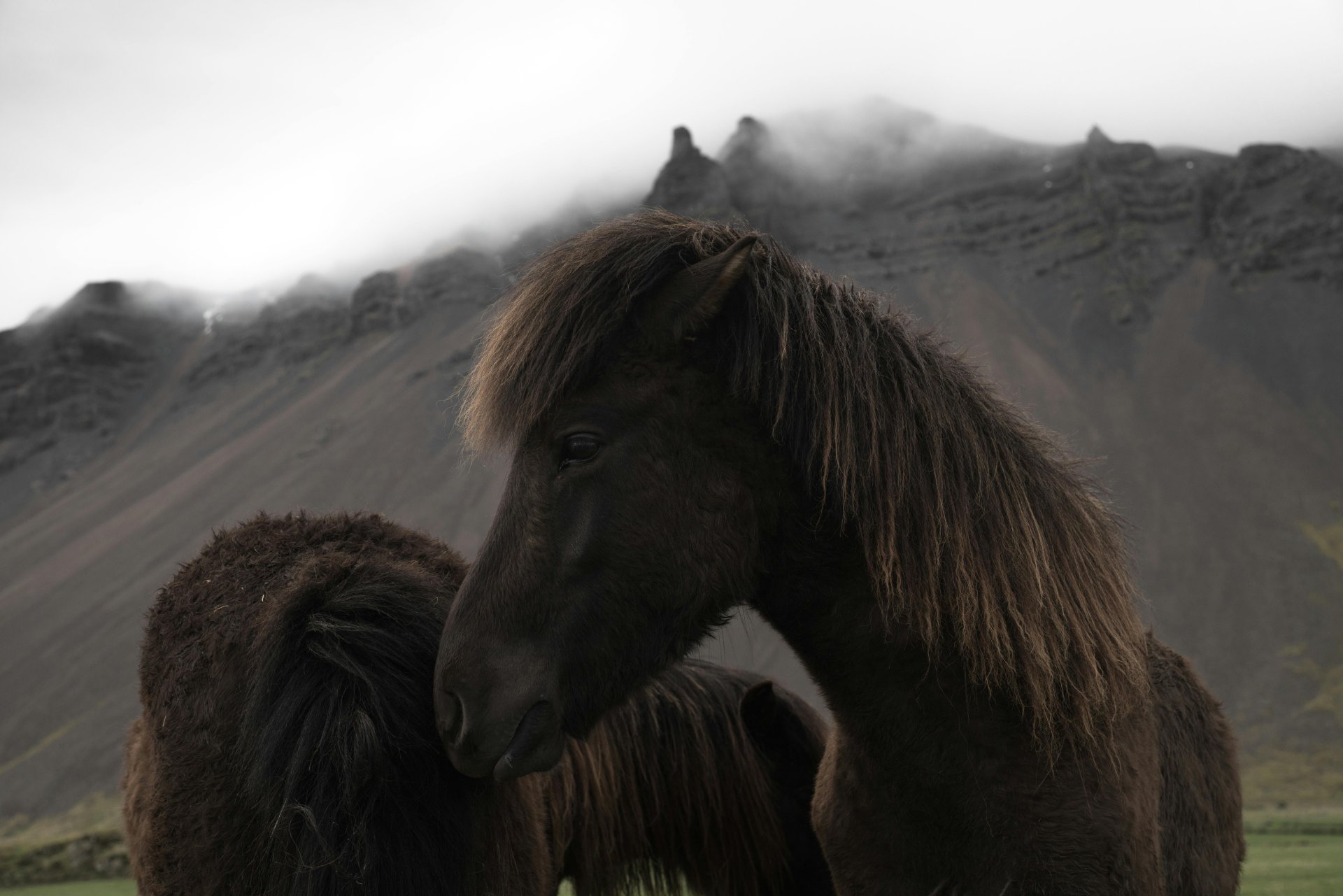 Niðurstaða úr skuldabréfaútboði - 10. apríl 2025