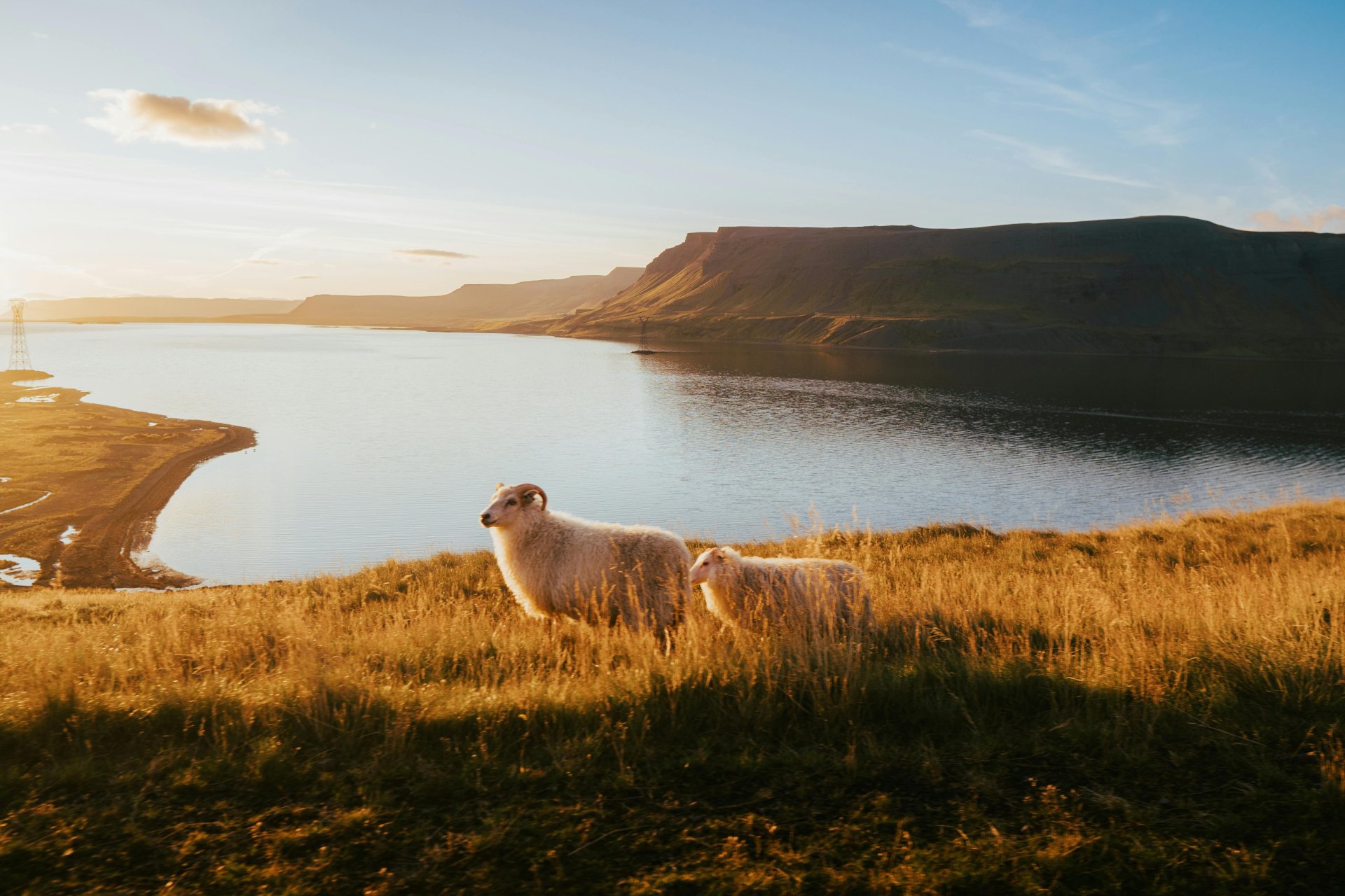 Niðurstaða úr skuldabréfaútboði - 15. september 2025
