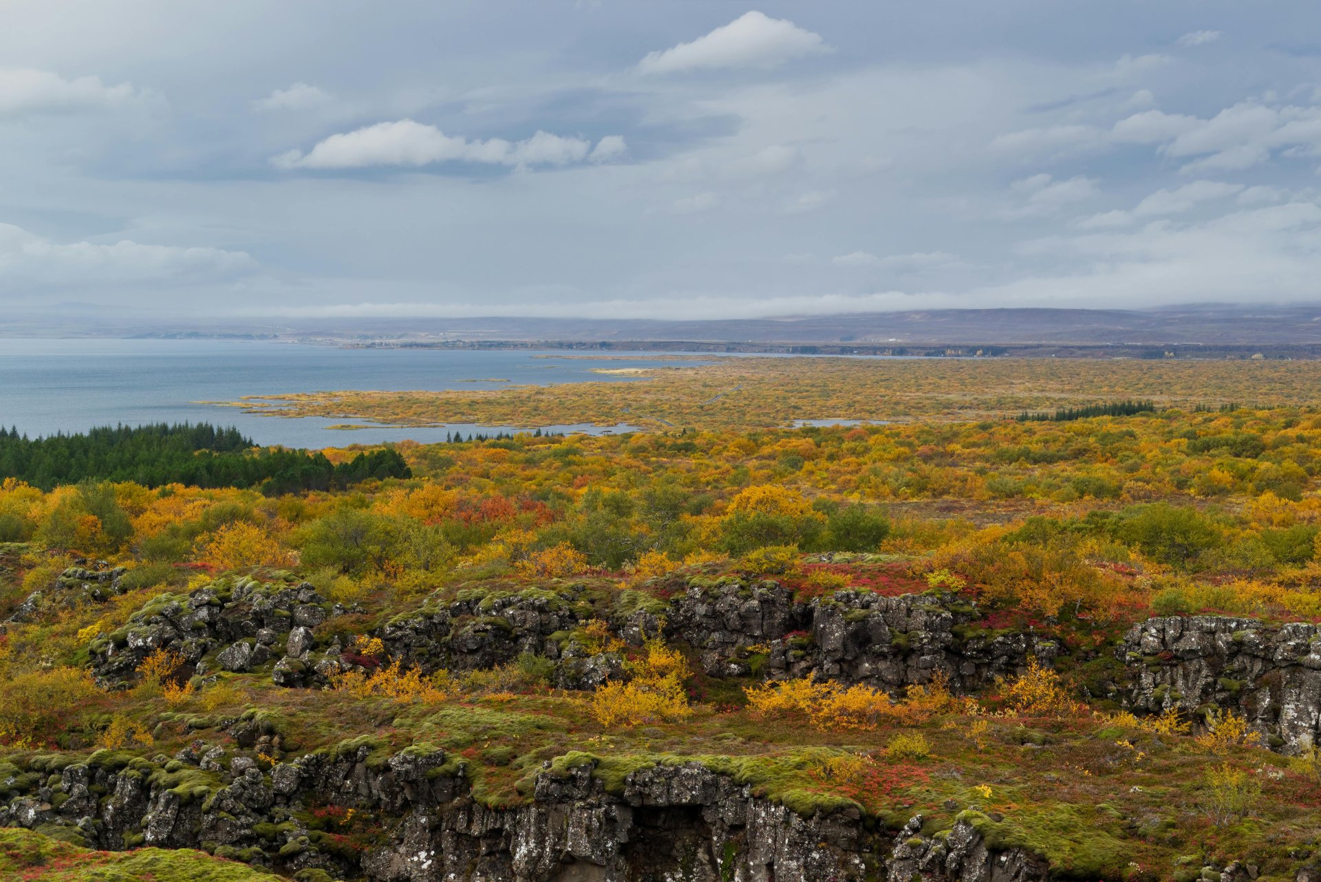 Niðurstaða úr skuldabréfaútboði - 9. október 2025