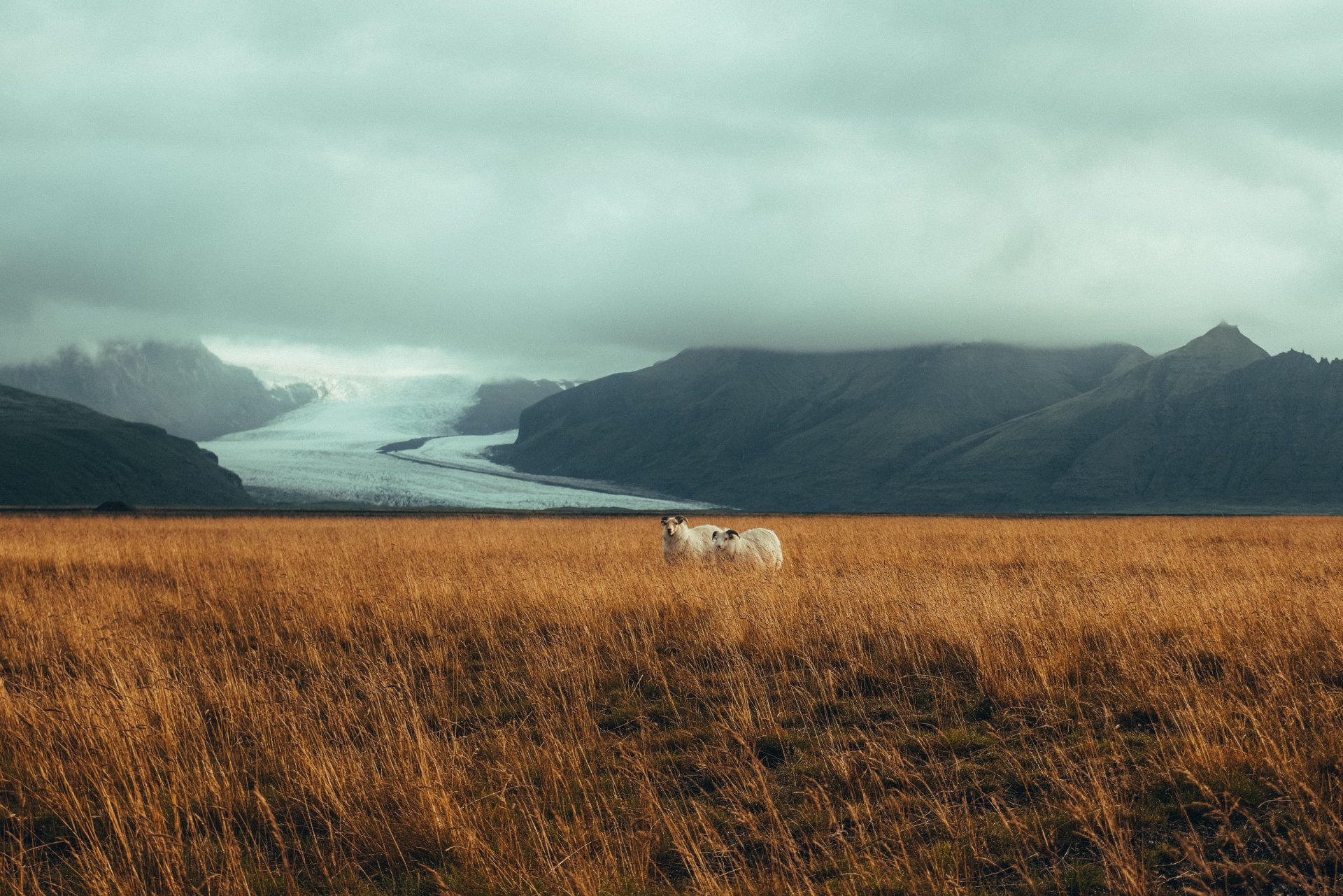 Niðurstaða úr skuldabréfaútboði - 16. september 2026